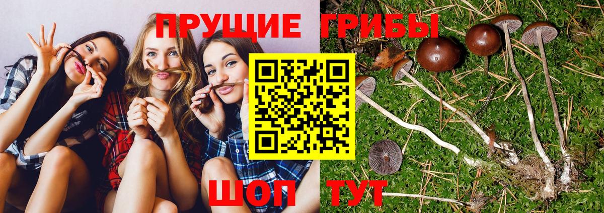 Псилоцибиновые грибы ЛСД Дзержинский
